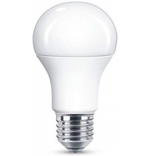 Ampoule LED E27 10W  810lm