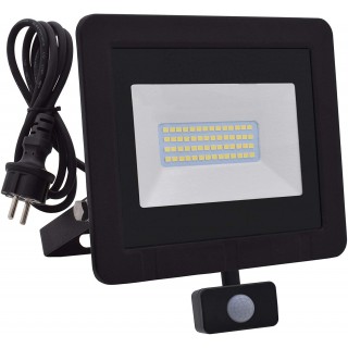 Projecteur extérieur LED avec détecteur 30W blanc chaud